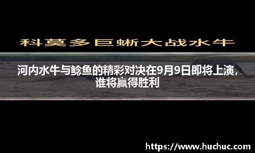 BB视讯官方网站